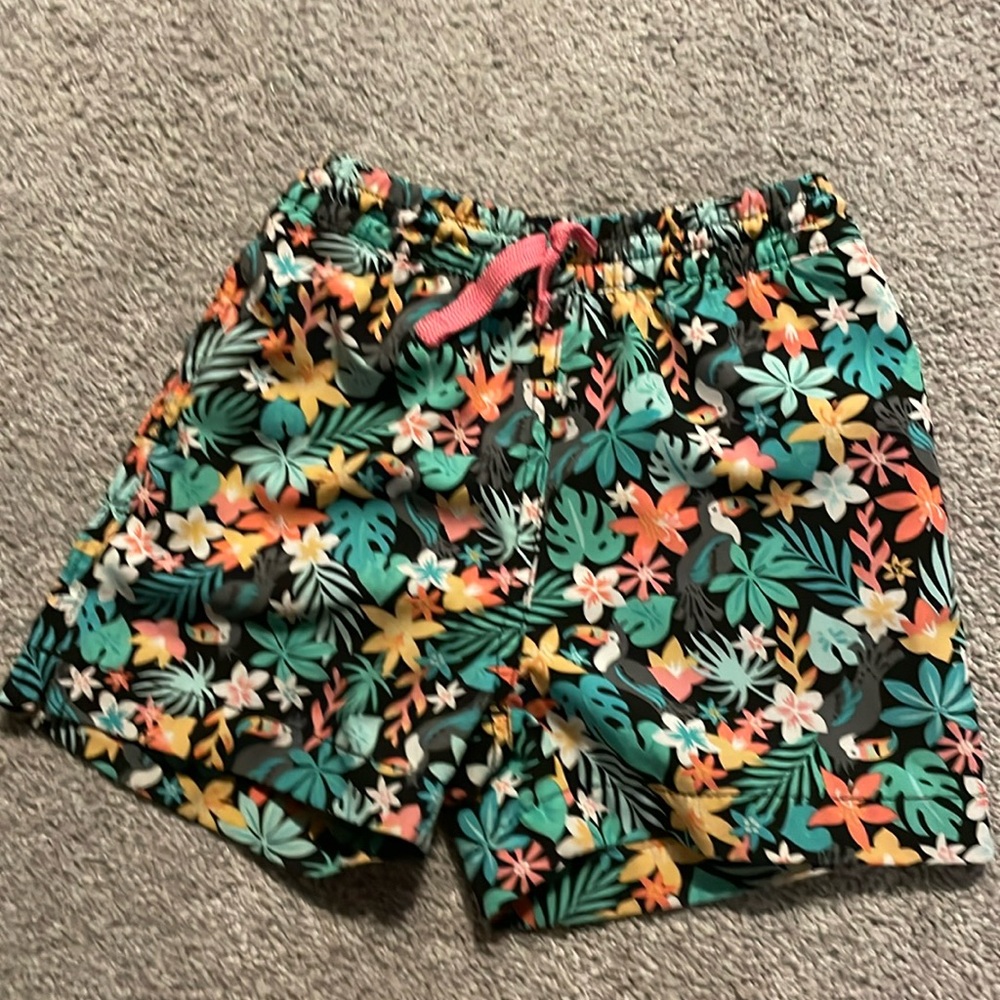 Boys Chubbies Swim Trunks- 3T